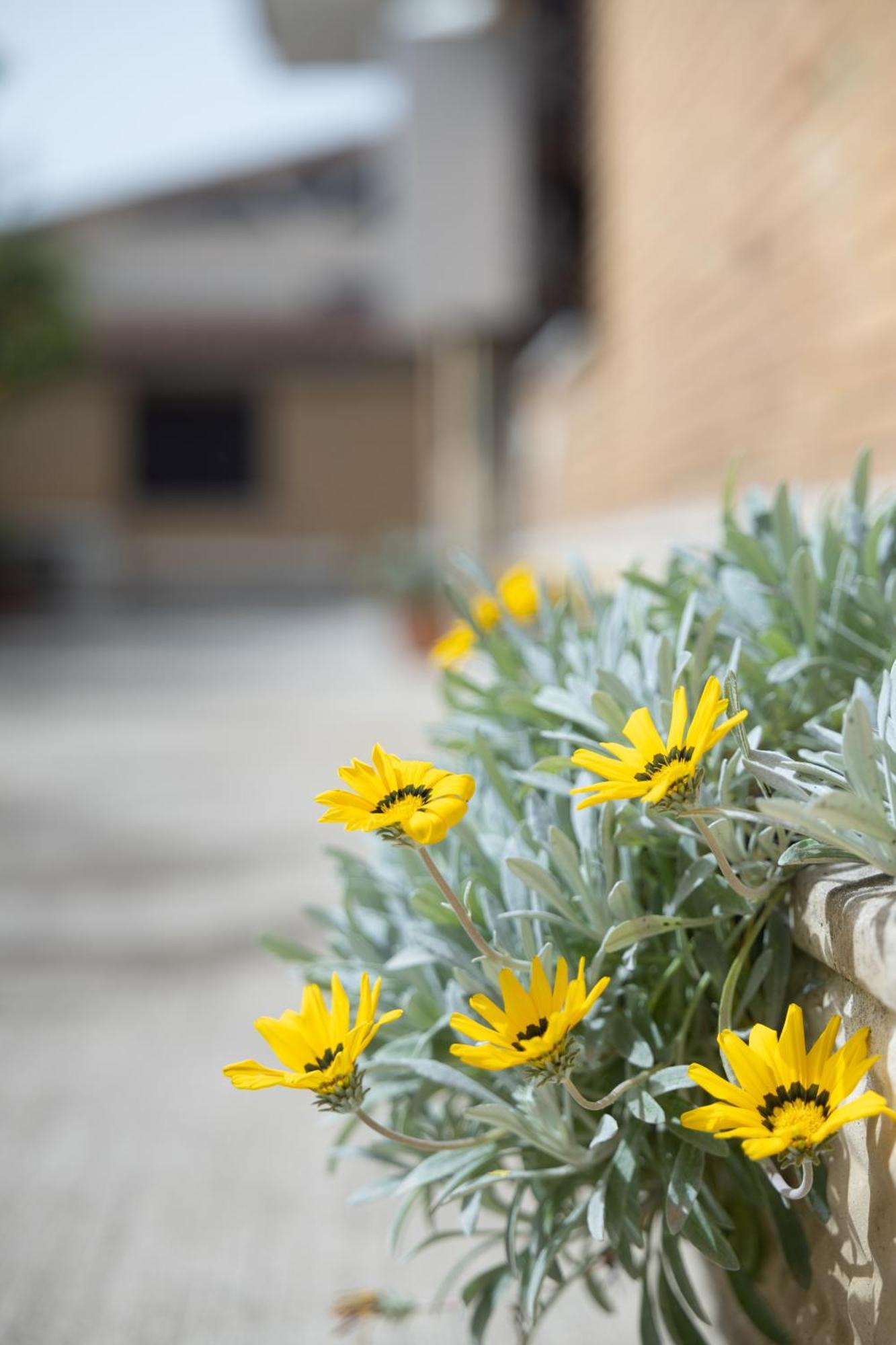 Casa Vacanze Alla Maison Fiumicino Zewnętrze zdjęcie